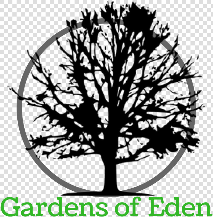 Everyone Sit Under Their Own Vine And Fig Tree  HD Png DownloadTransparent PNG