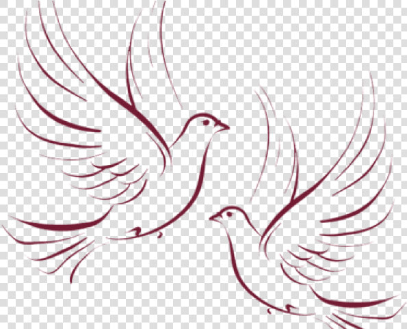 Doves Clipart Wedding   Wedding Doves Png  Transparent PngTransparent PNG