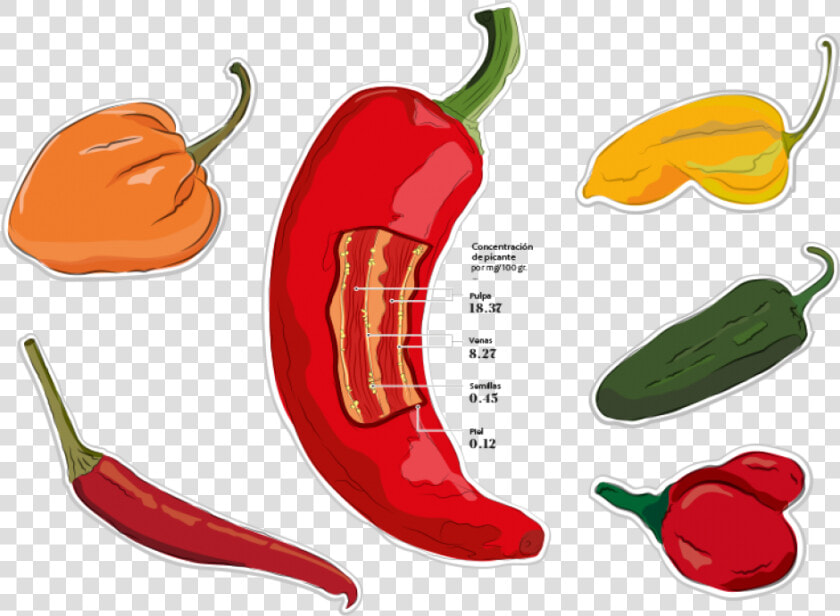 Scoville Escala Aji Panca  HD Png DownloadTransparent PNG