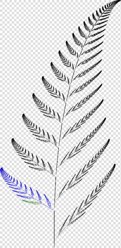 Barnsley Fern Funktion3  HD Png DownloadTransparent PNG