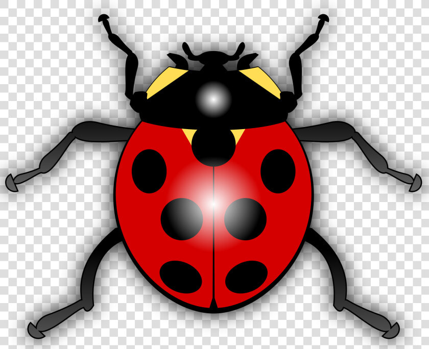 Leg Clipart Cartoon Bug   Ladybird Clipart  HD Png DownloadTransparent PNG