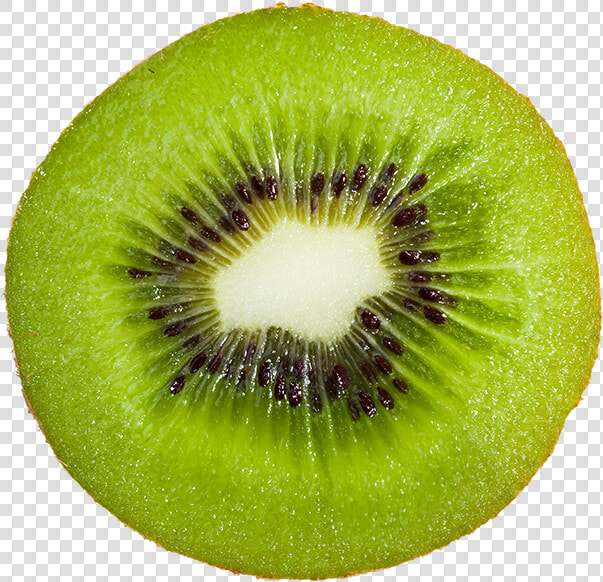 Rodaja De Kiwi Png  Transparent PngTransparent PNG