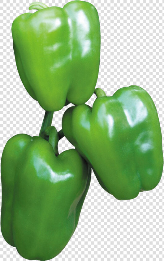 Bell Pepper   Png Download   Yellow Pepper  Transparent PngTransparent PNG