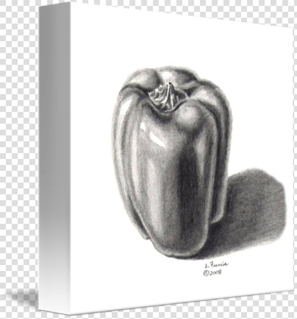 Drawing Vegetable Pepper   Green Pepper Drawing  HD Png DownloadTransparent PNG