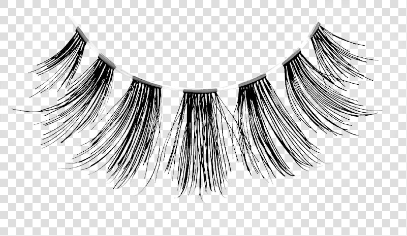 Eyelash Extensions  HD Png DownloadTransparent PNG