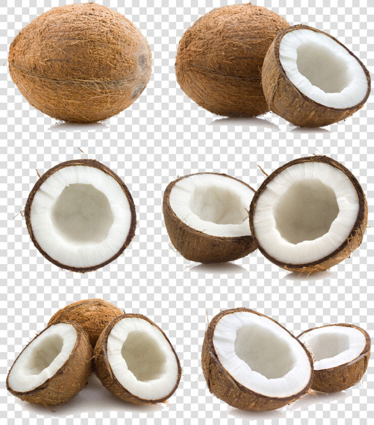 Coconut Png Free Download   Coconut Peel  Transparent PngTransparent PNG