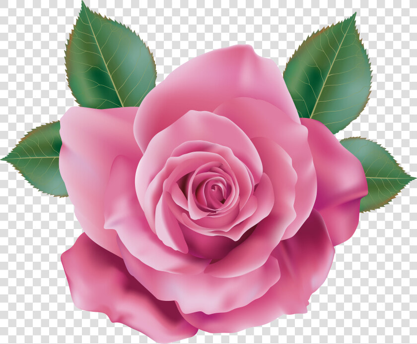 Flower Clipart  Rose Clipart  Candy Clipart  Flower   Png Pink Rose  Transparent PngTransparent PNG