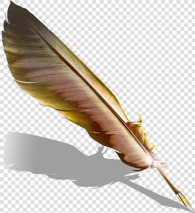 Writing Feather Png   Feather Pen Png  Transparent PngTransparent PNG