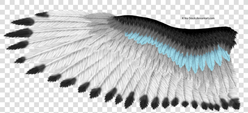 Eagle Wings Png   White Feather Texture Eagle  Transparent PngTransparent PNG