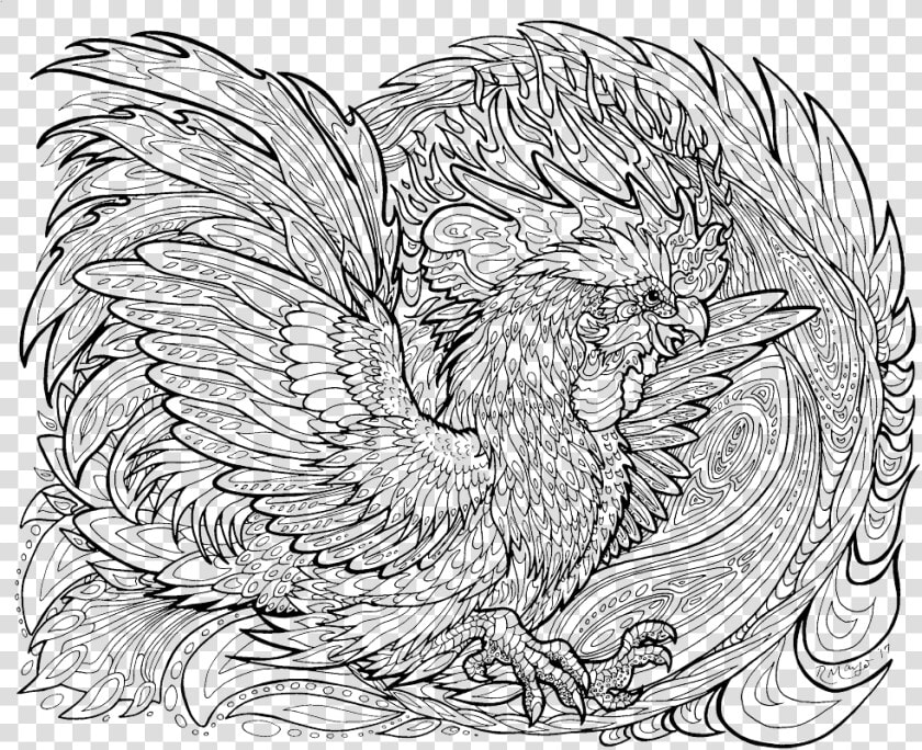 Colour Blast Lineart   Phoenix Lineart  HD Png DownloadTransparent PNG