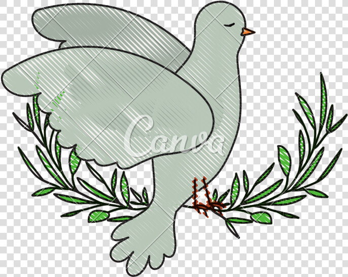 Dove Clipart Side View   Palomas A Lapiz  HD Png DownloadTransparent PNG