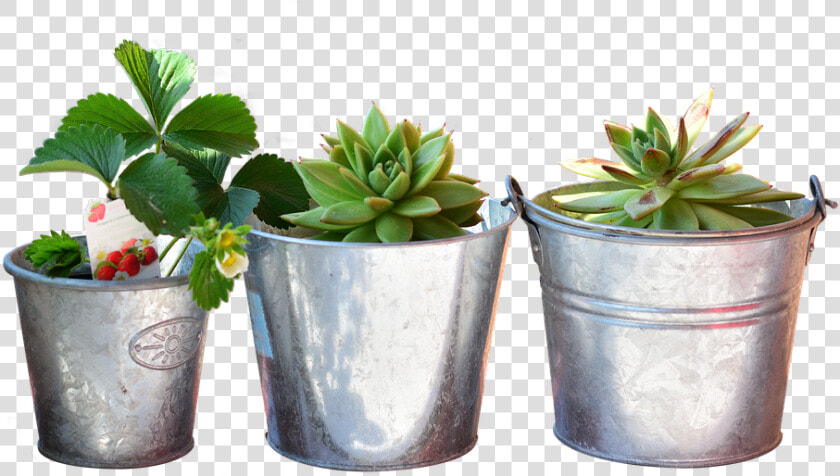 Planting Bucket  Bucket  Plant  Balcony  Flowers   Still Life Plants  HD Png DownloadTransparent PNG