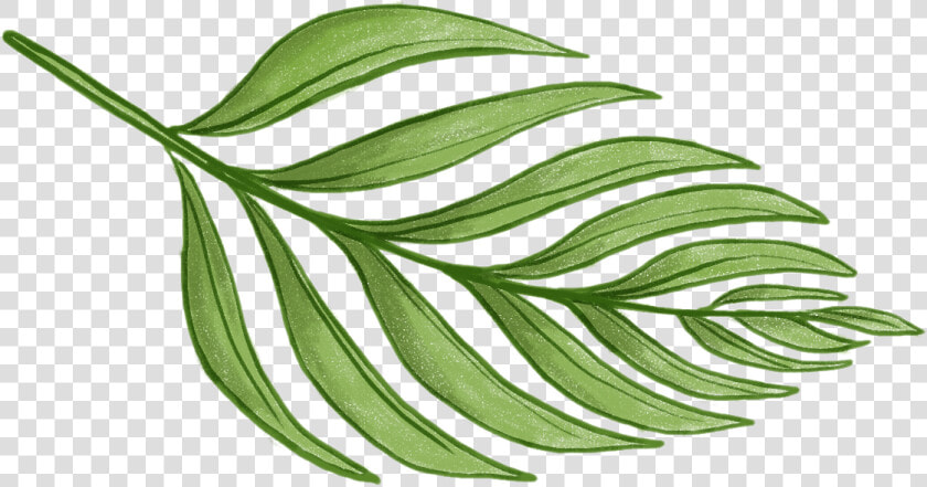 Never Not Knitting   Tropical Leaves Png  Transparent PngTransparent PNG