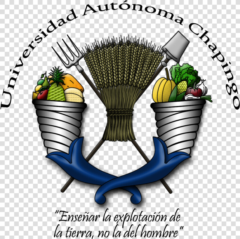 Thumb Image   Logo Universidad Autonoma Chapingo Png  Transparent PngTransparent PNG