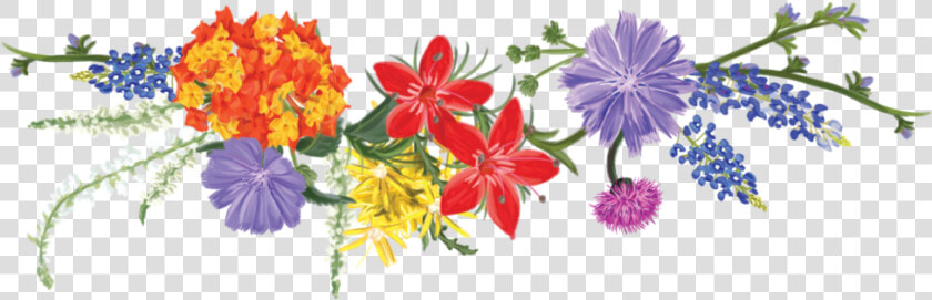 Texas Wildflower Vodka   Wildflowers Clipart Free  HD Png DownloadTransparent PNG