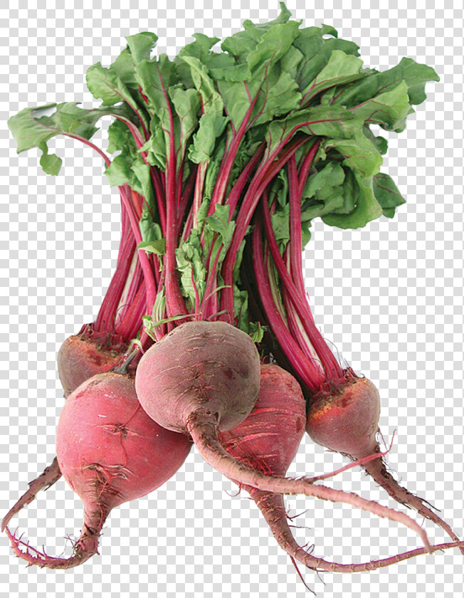 Beet Png   Fresh Beetroot  Transparent PngTransparent PNG