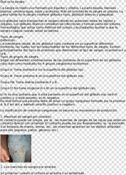 Document  HD Png DownloadTransparent PNG