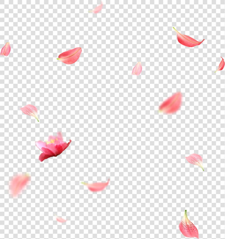 Creative Wedding Petals Falling Png Download   Cherry Blossom Petals Png  Transparent PngTransparent PNG