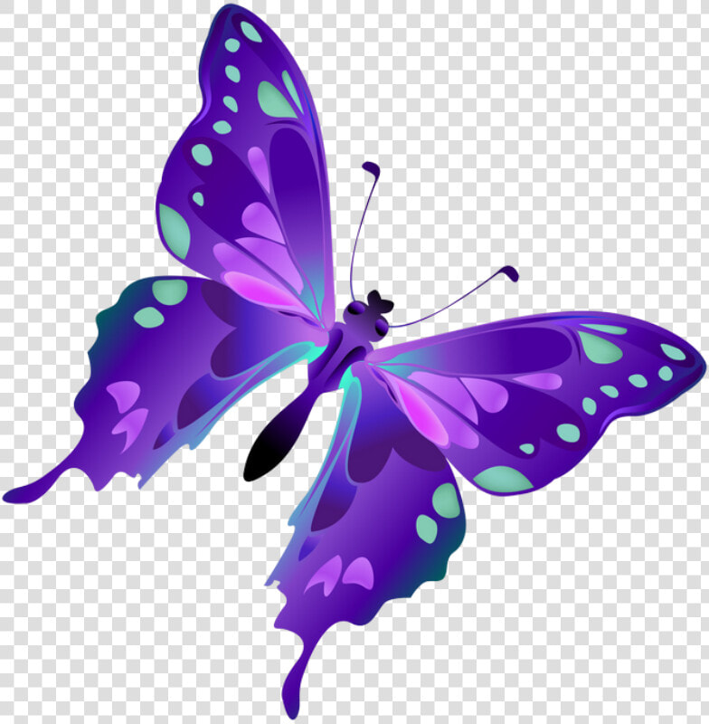 Adesivo De Parede Borboleta  HD Png DownloadTransparent PNG