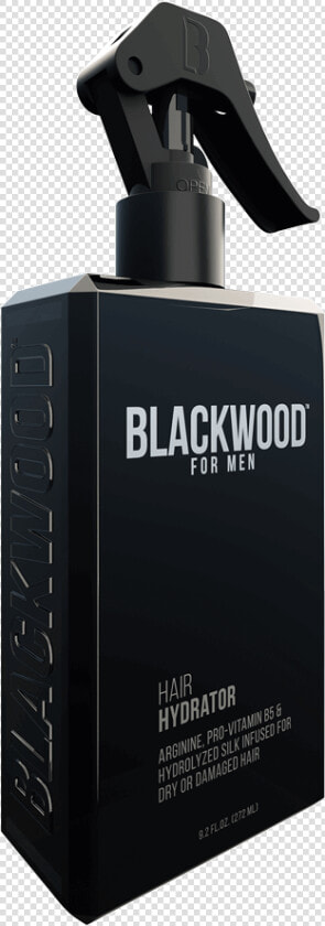 Blackwood Hair  HD Png DownloadTransparent PNG