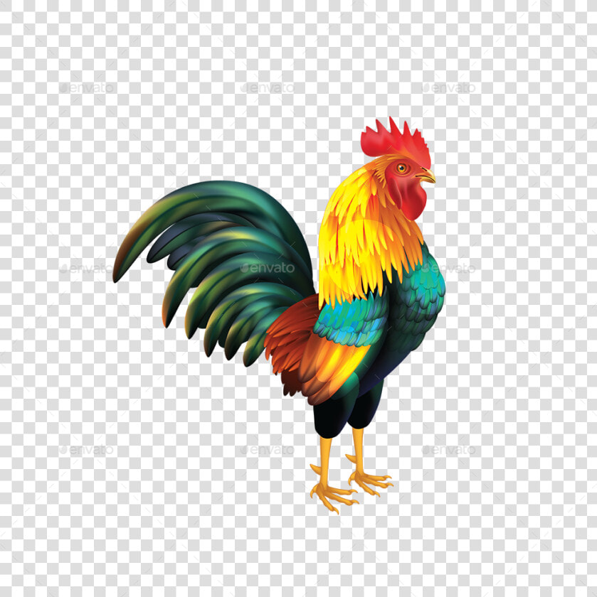 Don T Be A Cock Sucker  HD Png DownloadTransparent PNG