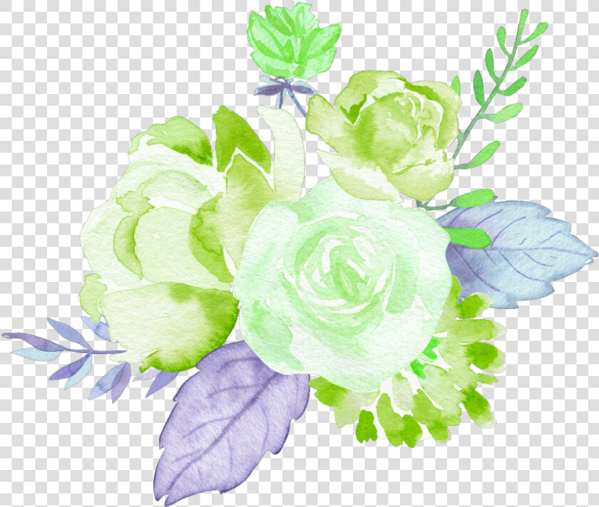 Transparent Watercolor Roses Png   Garden Roses  Png DownloadTransparent PNG