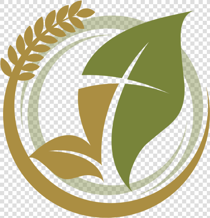 New Harvest Apostolic Church   Apostolic Church New Church Logos  HD Png DownloadTransparent PNG