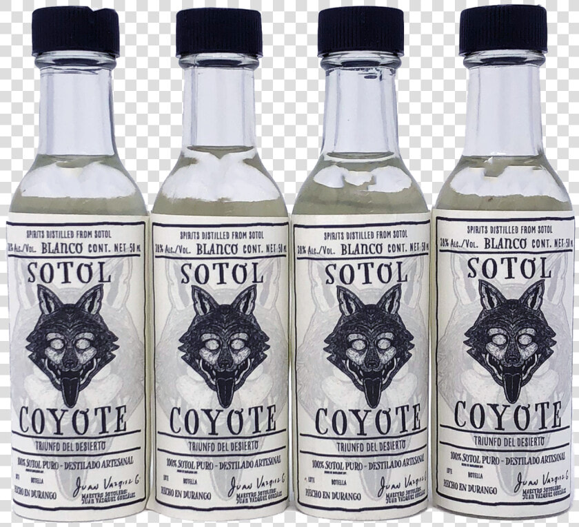 Sotol Coyote 38  Alc 50ml 4 Pack   Glass Bottle  HD Png DownloadTransparent PNG