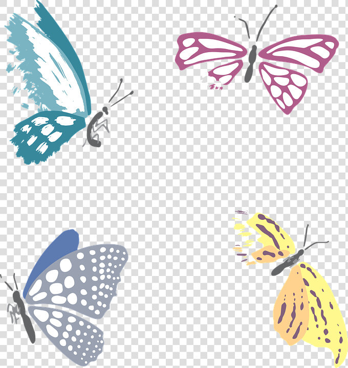 Butterfly  Dead  Death  Insect  Gloomy  Multi Color  HD Png DownloadTransparent PNG