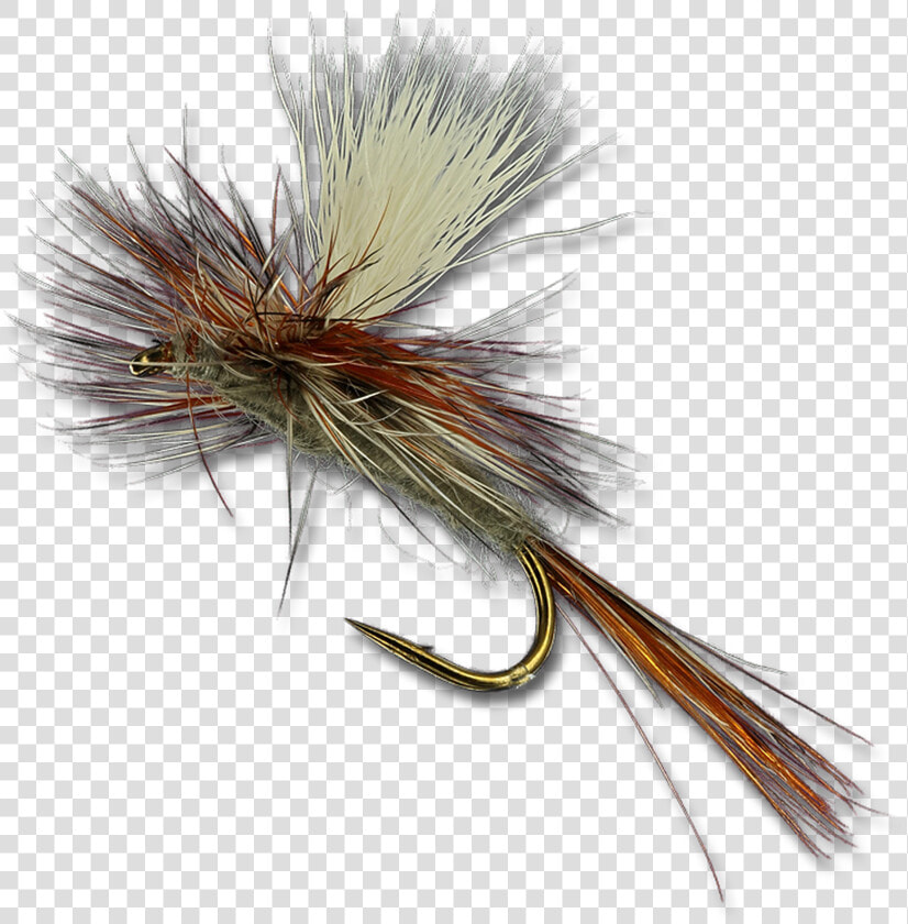 Parachute Adams   Fly Fishing Images Parachute Adams  HD Png DownloadTransparent PNG