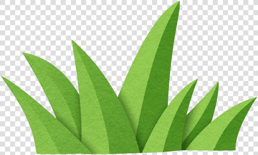 Transparent Jungle Plant Clipart   Sabal Minor  HD Png DownloadTransparent PNG