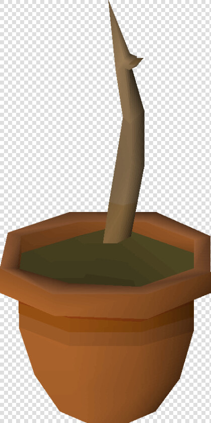 Old School Runescape Wiki   Osrs Sapling  HD Png DownloadTransparent PNG