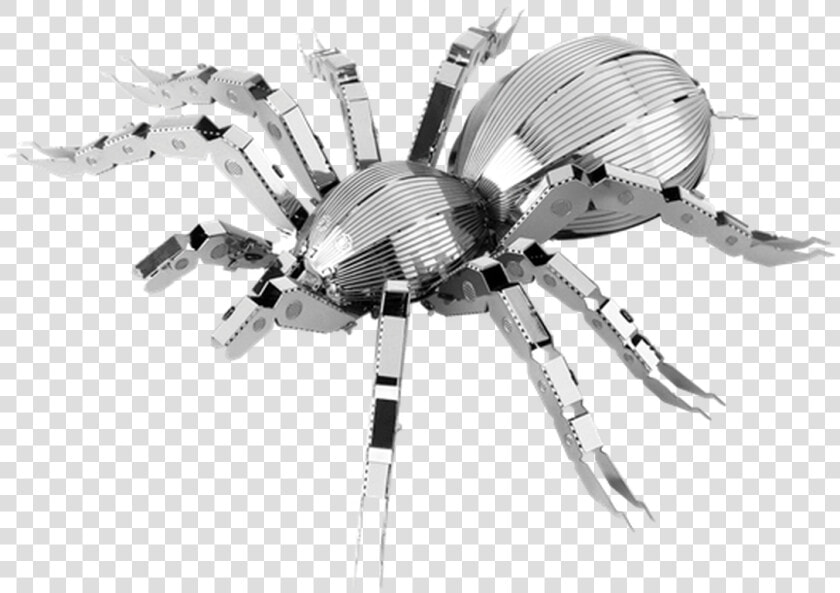 Spider Tarantula Metal Earth Model Kit   Insect Metal  HD Png DownloadTransparent PNG