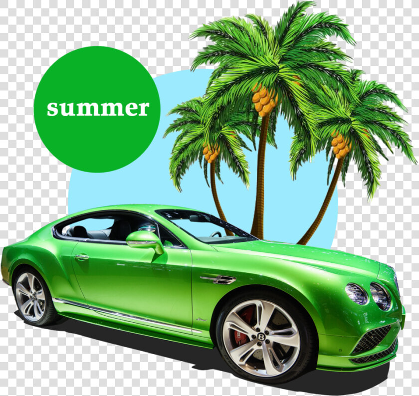 Free Summer Palm Tree Png   Transparent Cartoon Palm Trees  Png DownloadTransparent PNG