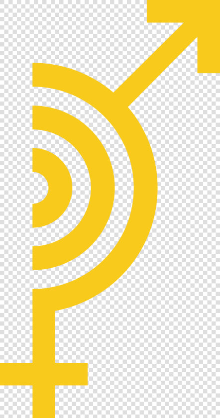 Amplifychange Gold Icon   Amplify Change  HD Png DownloadTransparent PNG