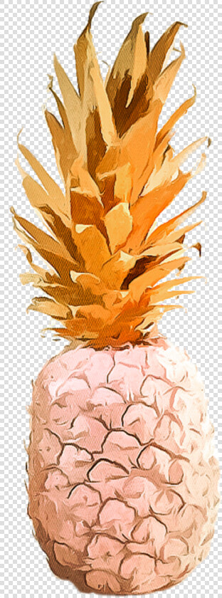  aesthetic  tumblr  pineapple   Pineapple  HD Png DownloadTransparent PNG