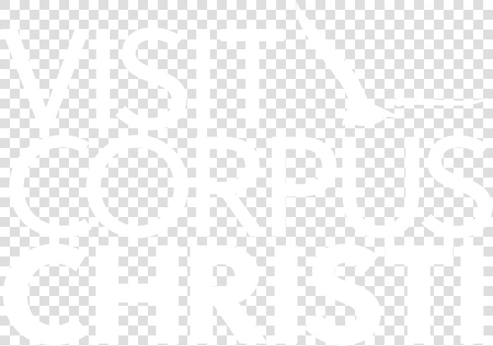 Corpus Christi Mustang  amp  Padre Islands Logo   Poster  HD Png DownloadTransparent PNG