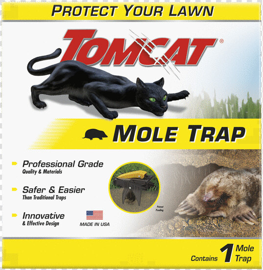 Tomcat Mouse Killer  HD Png DownloadTransparent PNG