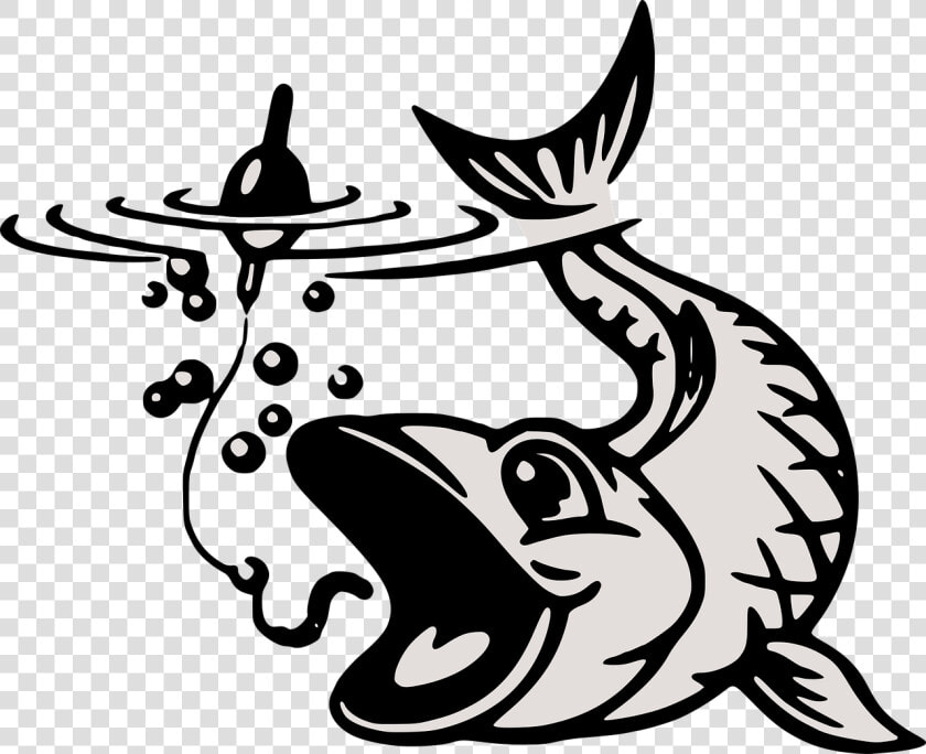 Hooked On Fishing Not On Drugs  HD Png DownloadTransparent PNG