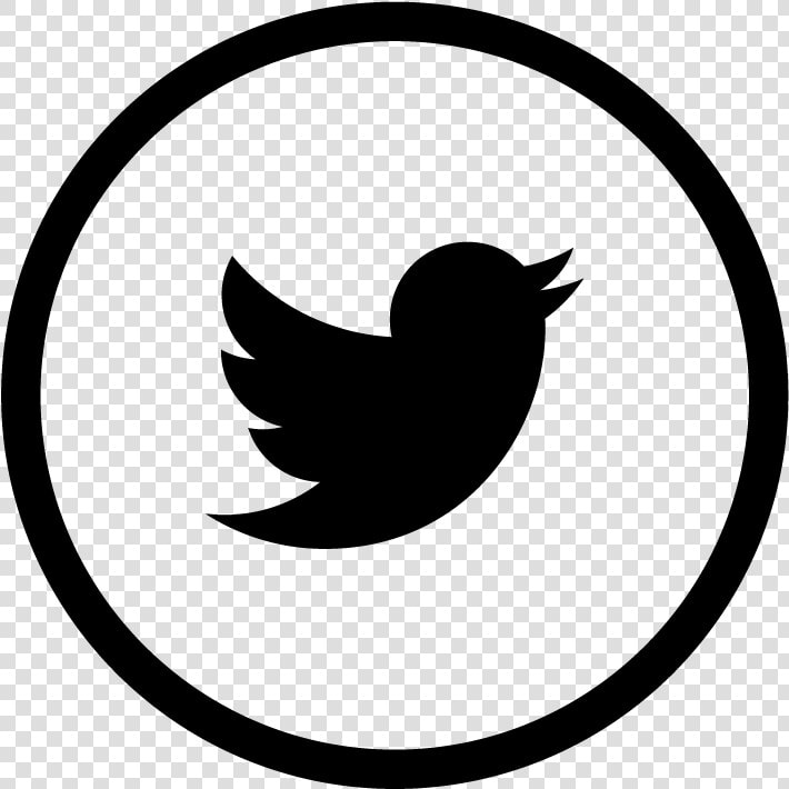 Twitter Facebook Instagram Youtube Linkedin   Red Twitter Logo Png  Transparent PngTransparent PNG