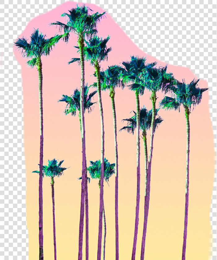 Transparent Neon Palm Tree Png   California Illustration Palm  Png DownloadTransparent PNG