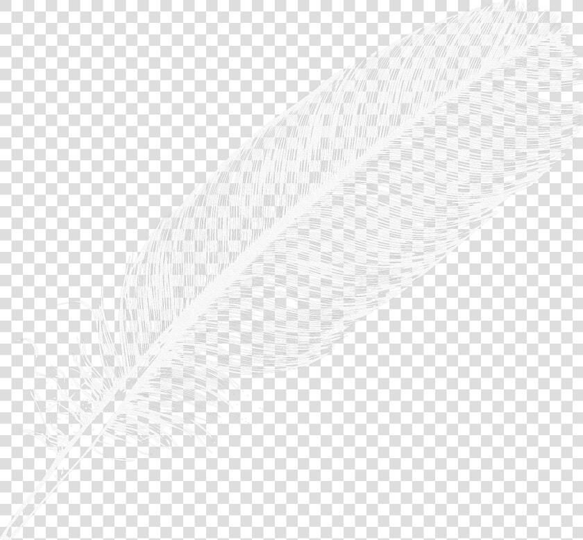 Large White Transparent Feather Png Clipart   White Feather Transparent Background  Png DownloadTransparent PNG