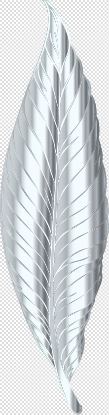 Silver Feather Clip Arts   Silver Feather Png  Transparent PngTransparent PNG