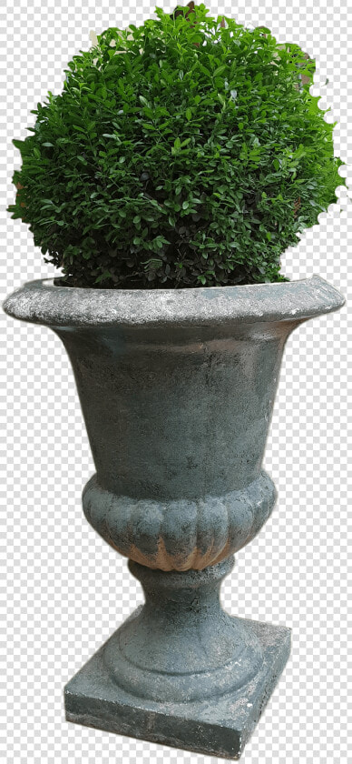 Flowerpot  HD Png DownloadTransparent PNG