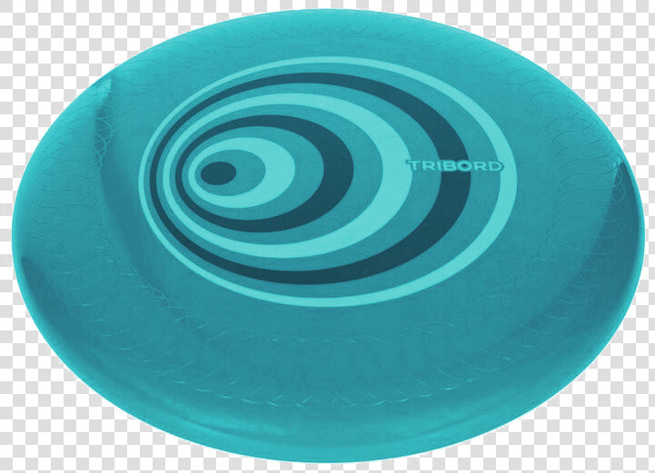 Frisbee Png Free Background  Transparent PngTransparent PNG