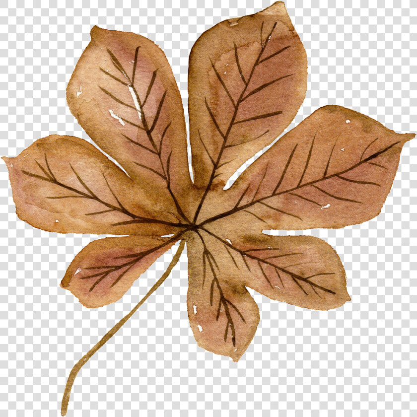 This Graphics Is Watercolor Brown Flowers Free Matting   Watercolor Transparent Brown Flower Png  Png DownloadTransparent PNG