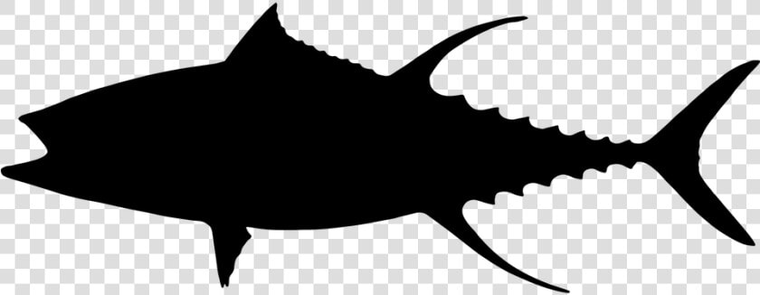 Transparent Fish Clipart Black And White   Tuna Silhouette  HD Png DownloadTransparent PNG