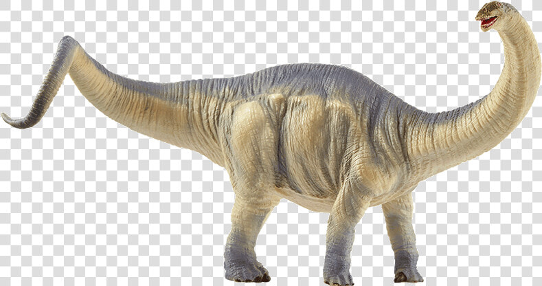 Brontosaurus 2020  HD Png DownloadTransparent PNG