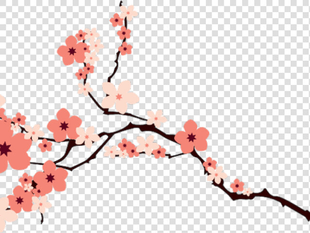 Transparent Cherry Blossom Clipart   Cherry Blossom Vector Png  Png DownloadTransparent PNG