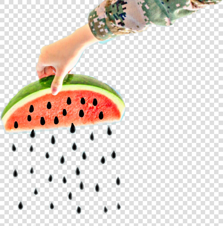  hand  watermelon  seed  hand     Seedless Fruit  HD Png DownloadTransparent PNG